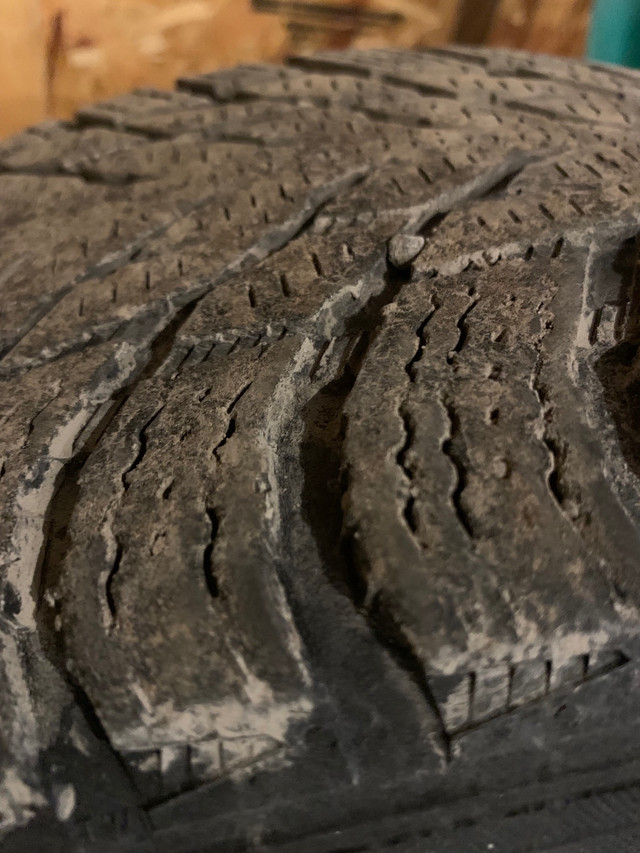Winter Tires 205/55R16 91R radial tubeless in Tires & Rims in Ottawa - Image 3