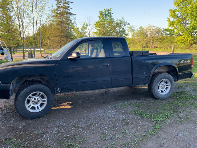 2004 Dodge Dakota V8 4.7L 4x4 in Cars & Trucks in Kawartha Lakes - Image 2