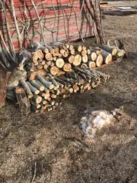 Fire wood and sticks .