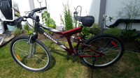 Adult (Raleigh) Fully suspensioned mountain bike