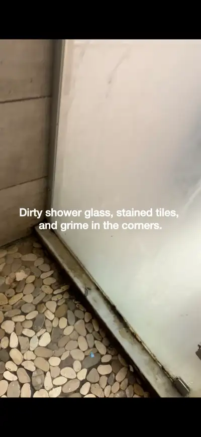 professional cleaning services , View more