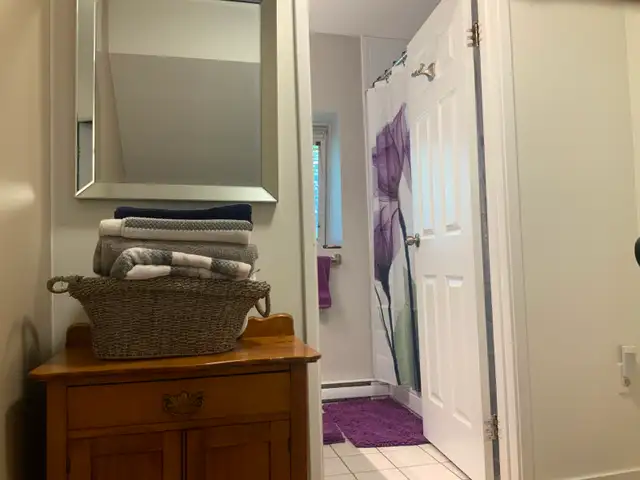Looking for roommate (town house) - North End Halifax in Room Rentals & Roommates in City of Halifax - Image 6