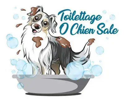 URGENT Toiletteur ou aide toiletteur recherché, View more