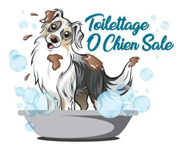 URGENT Toiletteur ou aide toiletteur recherché in Other in Lanaudière - Image 2