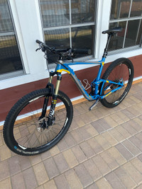 2015 Giant Anthem SX, size L