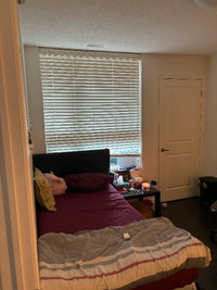 Subletting room from May to August