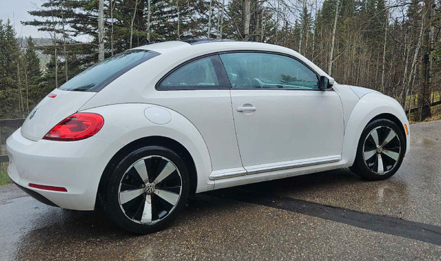 Volkswagen in Cars & Trucks in Calgary - Image 2