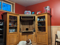 TV Stand/Cupboards