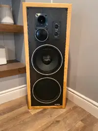 Vintage Vivid Tower Speakers