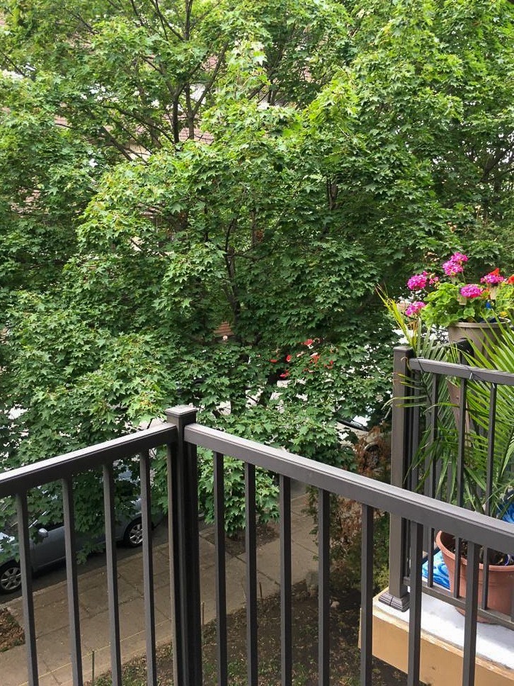 Cute 2 bedroom in a great location — photo 2