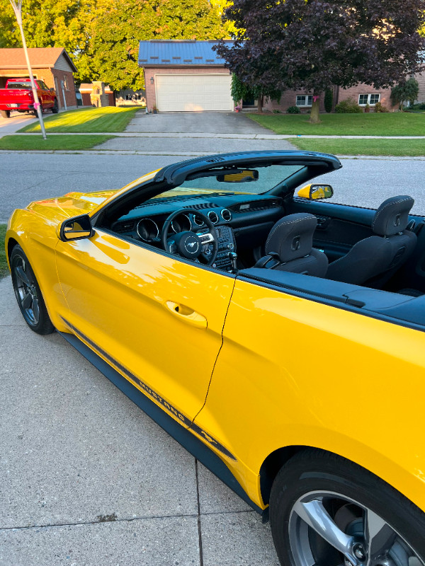 2017 Ford Mustang Yellow in Perfect Condition in Cars & Trucks in Kitchener / Waterloo - Image 3