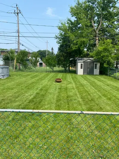 Hard working 22 year old landscapers for hire, View more