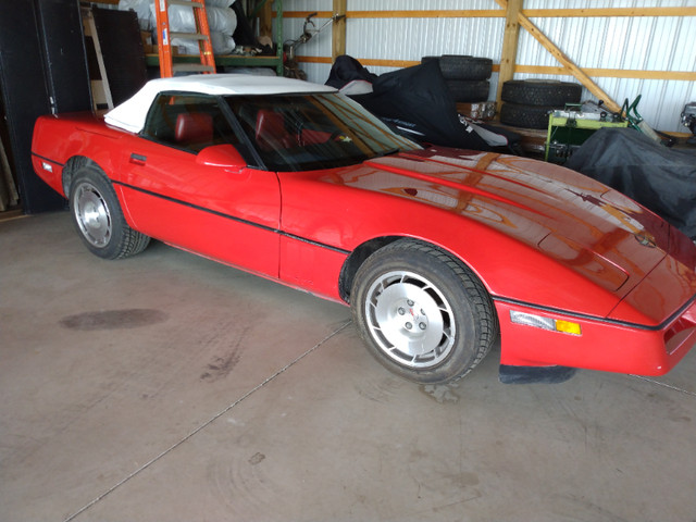 1986 Chevrolet Corvette Pace Car Edition in Classic Cars in Kitchener / Waterloo - Image 2