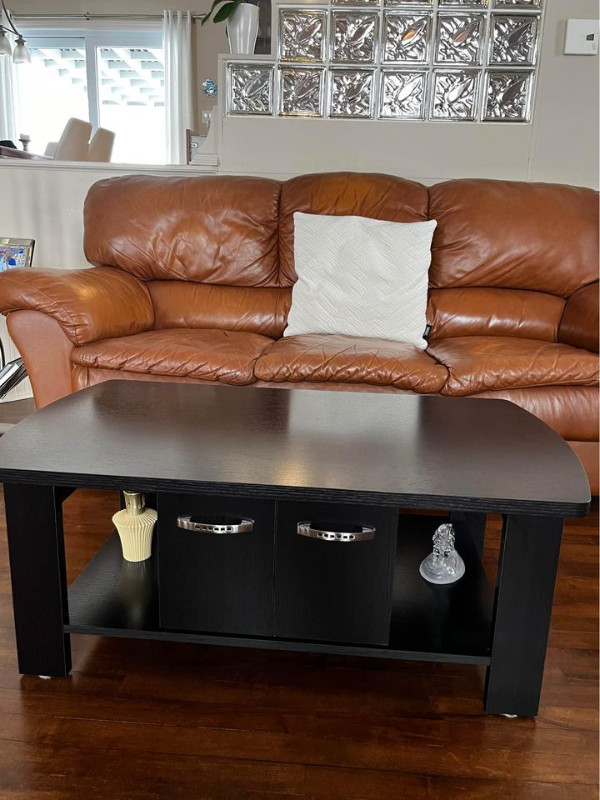 Mobilier de salon comprenant Divan, Causeuse, meuble de télé et dans Sofas et futons  à Lévis - Image 4