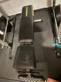Adjustable bench Fitness reality