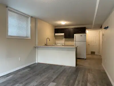 $1250 Bachelor Apt with Outdoor Patio on Frederick st