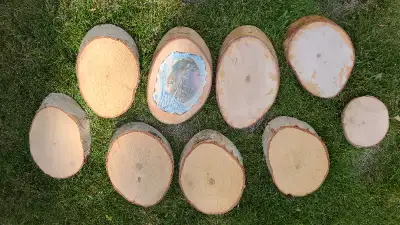 Tree trunk slabs (poplar) for craft projects, View more