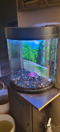 15 gallon Glow fish tank