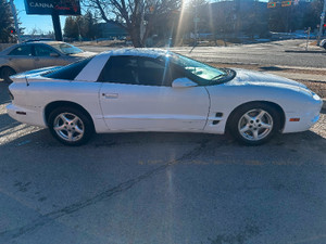 1998 Pontiac Firebird Firebird