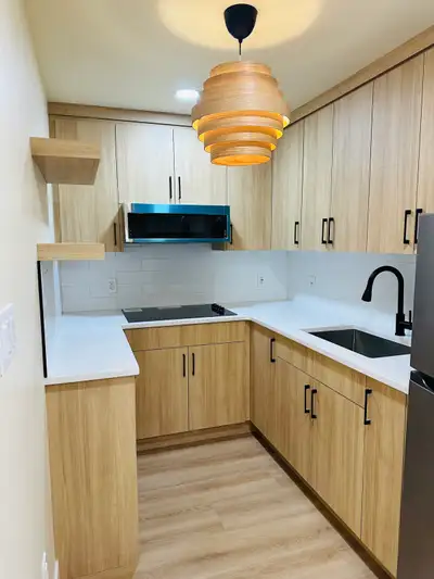 Brand New Basement Suite for Rent – Stillwater Area (T6M1L6) Be the very first tenant to live in thi...