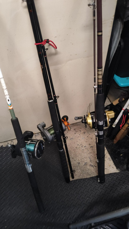Line counter reel fishing combos, Fishing, Camping & Outdoors, Ottawa