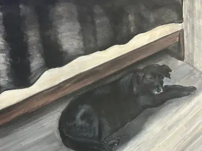 Let Labs Lay ( the cutest old lab you will ever see!), View more