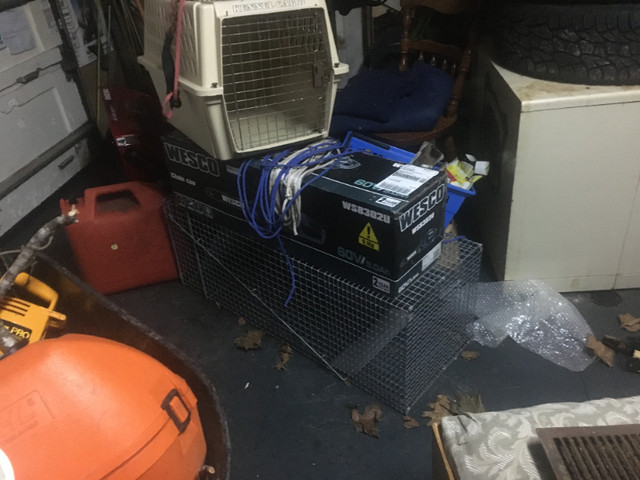 PET CRATES/CARRIERS in Accessories in Dartmouth - Image 2