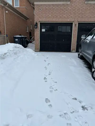Close to highways and transit Mavis and Britainia Separate entrance One parking spot Newly renovated...