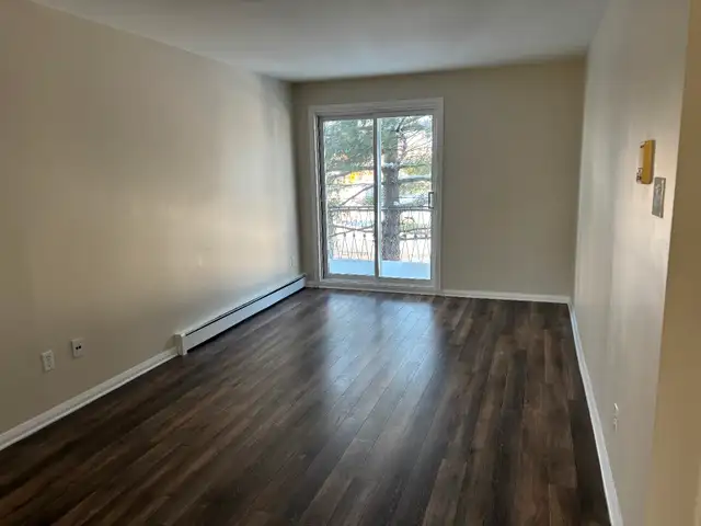 Longueuil 4 1/2 rénové, chauffé, pas de chien, libre