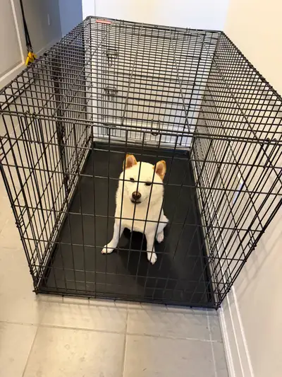 dog cage , View more