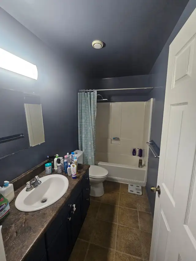 2 bdrm furnished apartment in Browns Court in Long Term Rentals in Charlottetown - Image 5