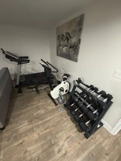 gym equipment , View more