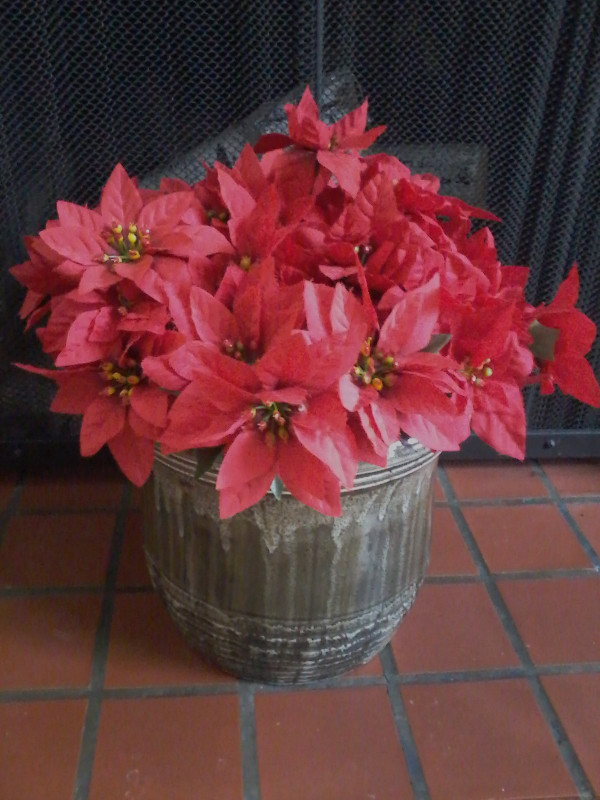 POINTSETTIA BUNDLES in Hobbies & Crafts in Moncton - Image 3