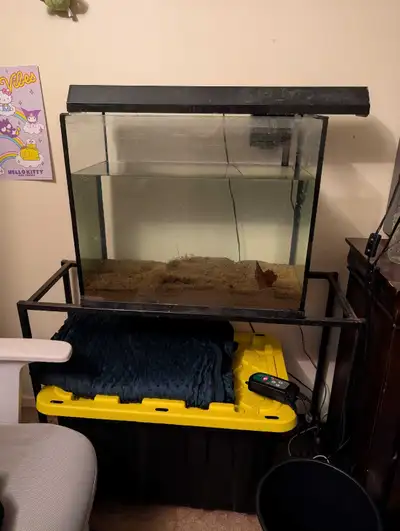 Holds water as shown Just the tank for $50 Light can be included for an additional $20 Stand for an...