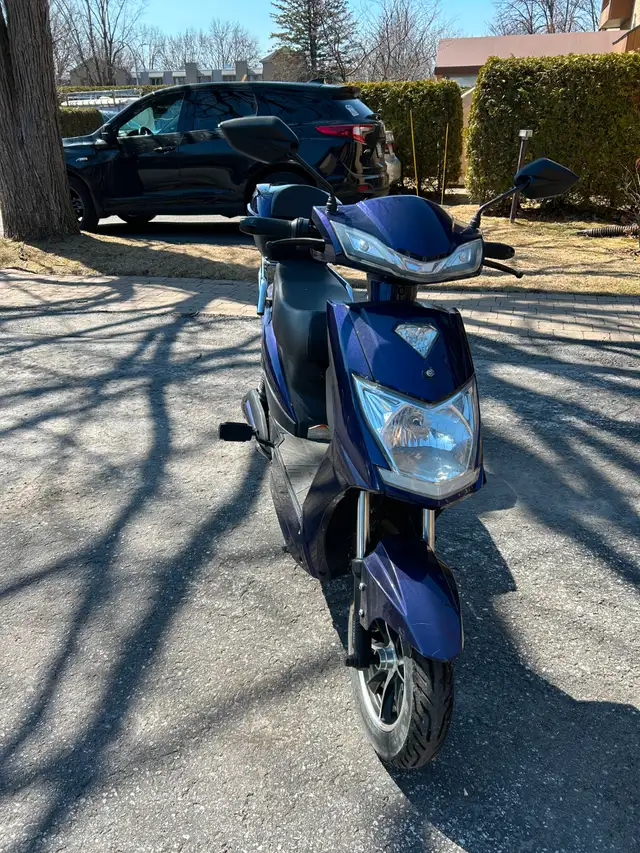 Scooter Electrique - Daymak Arrow in eBike in Longueuil / South Shore - Image 6