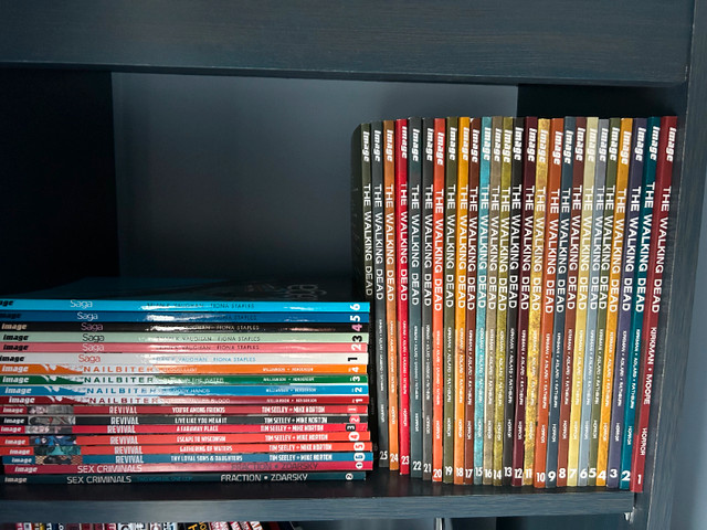 Graphic Novels in Excellent Condition For Sale $5 each firm in Comics & Graphic Novels in Oshawa / Durham Region