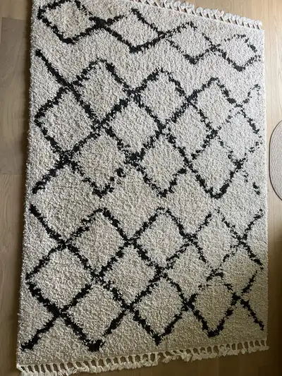 Area Rug from Wayfair 62 x 86 inches. Black and white shag style. Great condition