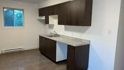 4 1/2 renové à louer à Ste-Eustache