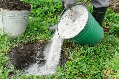 WANTED : free wood ash for garden, View more