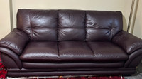  New Sofa