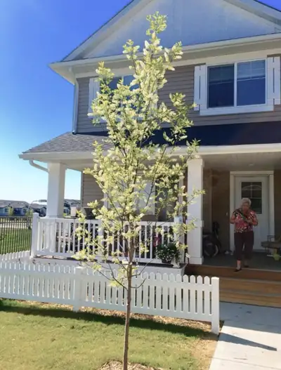 Townhouse 3 BR 1.5 bath for RENT