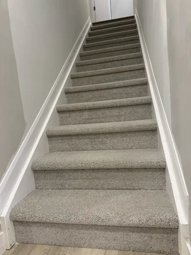  Carpet installation  in Rugs, Carpets & Runners in Ottawa - Image 5