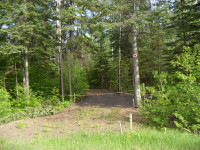 5 acres forested land for sale.