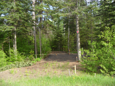 5 acres forested land for sale.