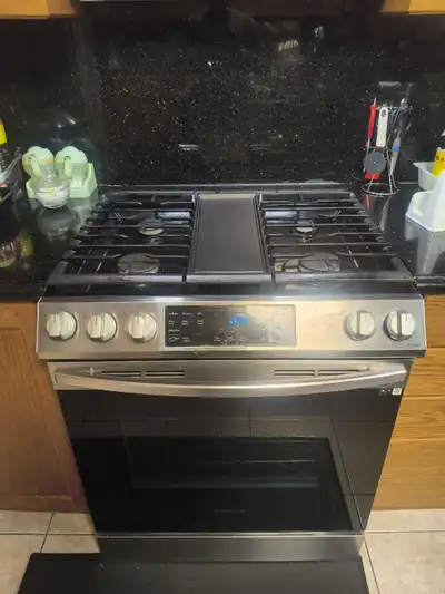 Samsung NX60T8511SS gas Range, View more