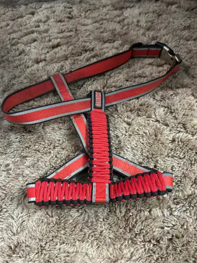 Kong large dog halter, View more