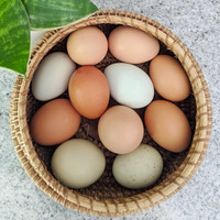 Pastured Farm Eggs 