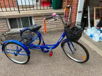 Adult 3 wheel bike