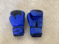 Blue boxing gloves 