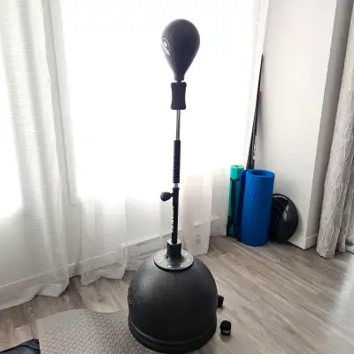 Punching bag Hayabusa Cobra Reflex, View more